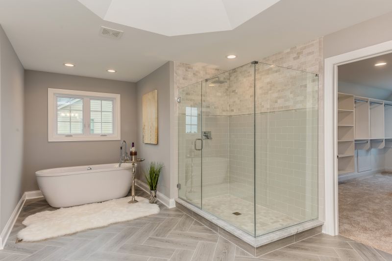 Contemporary Shower Area