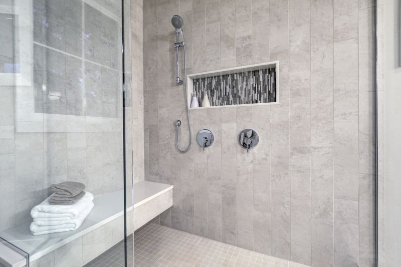 Walk-in Shower with Built-in Niches